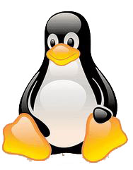 LINUX